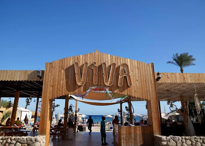 Amnesia In Naama Bay - Downtown شرم الشيخ